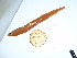  ( - GWS041552)  @11 [ ] Unspecified (default): All Rights Reserved  Unspecified Unspecified