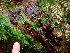  ( - GWS041567)  @11 [ ] Unspecified (default): All Rights Reserved  Unspecified Unspecified