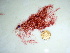  ( - GWS041711)  @11 [ ] Unspecified (default): All Rights Reserved  Unspecified Unspecified