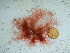  ( - GWS041848)  @11 [ ] Unspecified (default): All Rights Reserved  Unspecified Unspecified