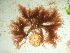  ( - GWS041850)  @11 [ ] Unspecified (default): All Rights Reserved  Unspecified Unspecified
