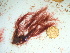  ( - GWS041911)  @11 [ ] Unspecified (default): All Rights Reserved  Unspecified Unspecified