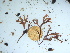  ( - GWS042001)  @11 [ ] Unspecified (default): All Rights Reserved  Unspecified Unspecified