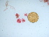  (Grania - GWS042050)  @11 [ ] Unspecified (default): All Rights Reserved  Unspecified Unspecified