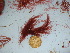  ( - GWS042056)  @11 [ ] Unspecified (default): All Rights Reserved  Unspecified Unspecified