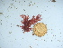  ( - GWS042265)  @11 [ ] Unspecified (default): All Rights Reserved  Unspecified Unspecified