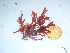  ( - GWS042337)  @11 [ ] Unspecified (default): All Rights Reserved  Unspecified Unspecified