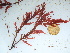  ( - GWS042359)  @11 [ ] Unspecified (default): All Rights Reserved  Unspecified Unspecified