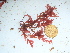  ( - GWS042360)  @11 [ ] Unspecified (default): All Rights Reserved  Unspecified Unspecified