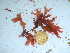  ( - GWS042388)  @11 [ ] Unspecified (default): All Rights Reserved  Unspecified Unspecified