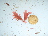  ( - GWS042389)  @11 [ ] Unspecified (default): All Rights Reserved  Unspecified Unspecified