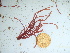  ( - GWS042452)  @11 [ ] Unspecified (default): All Rights Reserved  Unspecified Unspecified