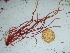  ( - GWS042455)  @11 [ ] Unspecified (default): All Rights Reserved  Unspecified Unspecified