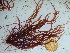  ( - GWS042456)  @11 [ ] Unspecified (default): All Rights Reserved  Unspecified Unspecified