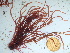  ( - GWS042457)  @11 [ ] Unspecified (default): All Rights Reserved  Unspecified Unspecified