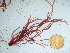  ( - GWS042458)  @11 [ ] Unspecified (default): All Rights Reserved  Unspecified Unspecified