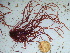  ( - GWS042462)  @11 [ ] Unspecified (default): All Rights Reserved  Unspecified Unspecified