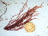  ( - GWS042465)  @11 [ ] Unspecified (default): All Rights Reserved  Unspecified Unspecified