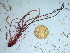  ( - GWS042467)  @11 [ ] Unspecified (default): All Rights Reserved  Unspecified Unspecified