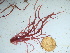  ( - GWS042469)  @11 [ ] Unspecified (default): All Rights Reserved  Unspecified Unspecified