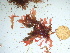  ( - GWS042471)  @11 [ ] Unspecified (default): All Rights Reserved  Unspecified Unspecified
