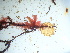  ( - GWS042529)  @11 [ ] Unspecified (default): All Rights Reserved  Unspecified Unspecified