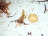  ( - GWS042531)  @11 [ ] Unspecified (default): All Rights Reserved  Unspecified Unspecified