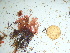  ( - GWS042541)  @11 [ ] Unspecified (default): All Rights Reserved  Unspecified Unspecified