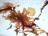  ( - GWS042547)  @11 [ ] Unspecified (default): All Rights Reserved  Unspecified Unspecified