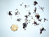  ( - GWS042602)  @11 [ ] Unspecified (default): All Rights Reserved  Unspecified Unspecified