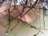  ( - GWS043020)  @11 [ ] Unspecified (default): All Rights Reserved  Unspecified Unspecified