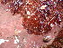  ( - GWS043033)  @11 [ ] Unspecified (default): All Rights Reserved  Unspecified Unspecified