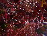  ( - GWS043073)  @11 [ ] Unspecified (default): All Rights Reserved  Unspecified Unspecified