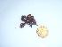  ( - GWS043668)  @11 [ ] Unspecified (default): All Rights Reserved  Unspecified Unspecified