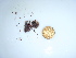  ( - GWS043676)  @11 [ ] Unspecified (default): All Rights Reserved  Unspecified Unspecified