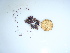  ( - GWS043677)  @11 [ ] Unspecified (default): All Rights Reserved  Unspecified Unspecified