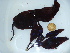  ( - GWS043748)  @11 [ ] Unspecified (default): All Rights Reserved  Unspecified Unspecified
