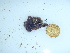  ( - GWS043758)  @11 [ ] Unspecified (default): All Rights Reserved  Unspecified Unspecified