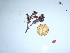  ( - GWS043849)  @11 [ ] Unspecified (default): All Rights Reserved  Unspecified Unspecified