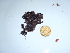  ( - GWS043852)  @11 [ ] Unspecified (default): All Rights Reserved  Unspecified Unspecified