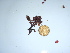  ( - GWS043854)  @11 [ ] Unspecified (default): All Rights Reserved  Unspecified Unspecified