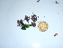  ( - GWS043855)  @11 [ ] Unspecified (default): All Rights Reserved  Unspecified Unspecified