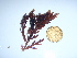  ( - GWS043895)  @11 [ ] Unspecified (default): All Rights Reserved  Unspecified Unspecified