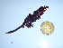  ( - GWS043896)  @11 [ ] Unspecified (default): All Rights Reserved  Unspecified Unspecified