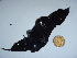 ( - GWS044019)  @11 [ ] Unspecified (default): All Rights Reserved  Unspecified Unspecified