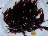  ( - GWS044082)  @11 [ ] Unspecified (default): All Rights Reserved  Unspecified Unspecified