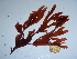  ( - GWS044097)  @11 [ ] Unspecified (default): All Rights Reserved  Unspecified Unspecified