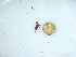  ( - GWS044135)  @11 [ ] Unspecified (default): All Rights Reserved  Unspecified Unspecified