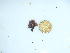  ( - GWS044136)  @11 [ ] Unspecified (default): All Rights Reserved  Unspecified Unspecified