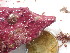  ( - GWS044383)  @11 [ ] Unspecified (default): All Rights Reserved  Unspecified Unspecified